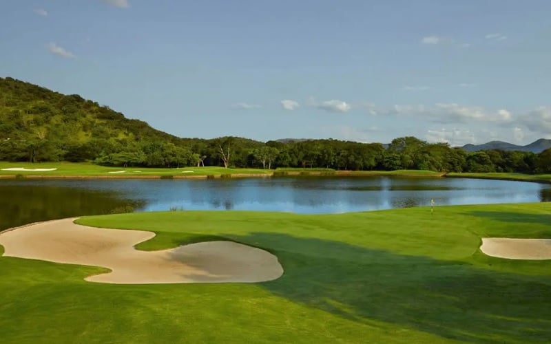 The Ultimate Gary Player Golf And Safari Experience